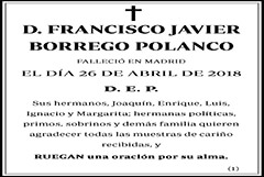 Francisco Javier Borrego Polanco